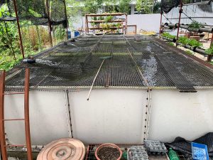products-MFPT-aquaculture-tank